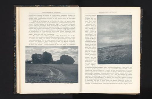 View of a landscape with trees