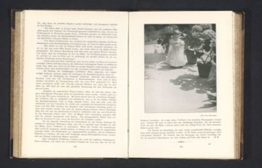 Little Girl on a Terrace with Plants