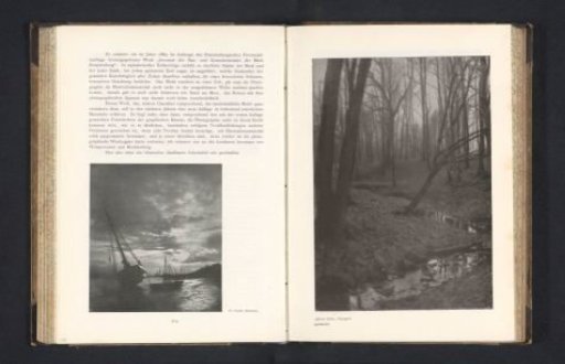 Brook in a Forest