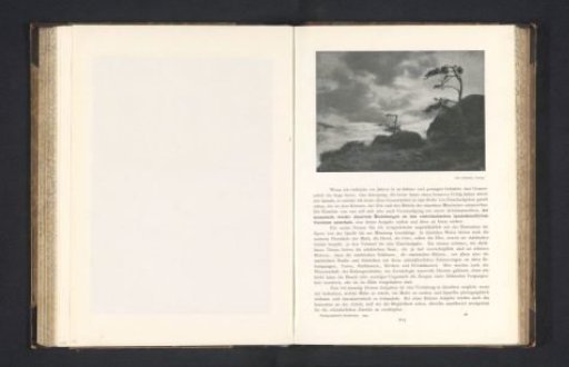 Landscape with Rocks and Trees
