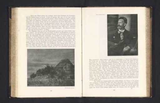 Portrait of an Unknown Man