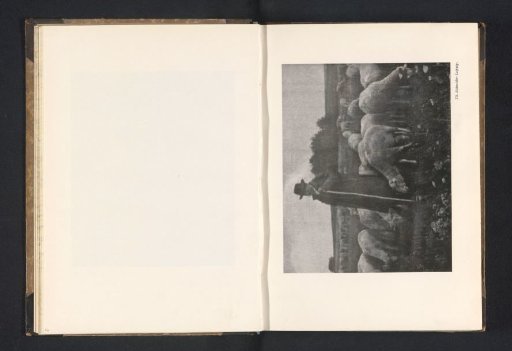 Shepherd with a flock
