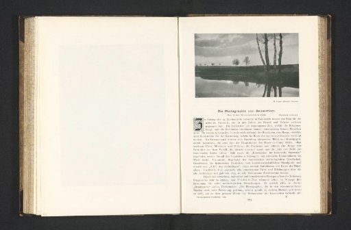 Landscape with a body of water and four birch trees