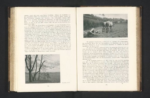 Peasant at work in the field with two horses before a tool