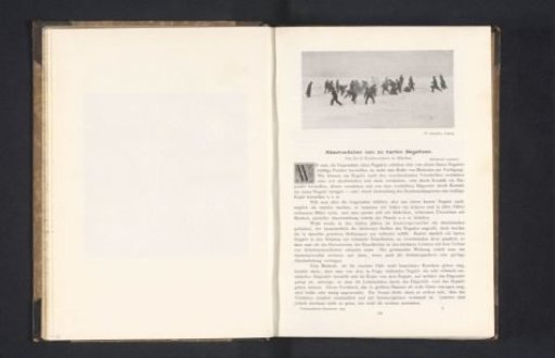 Group of men having a snowball fight