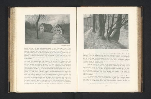 View of a house in a forest