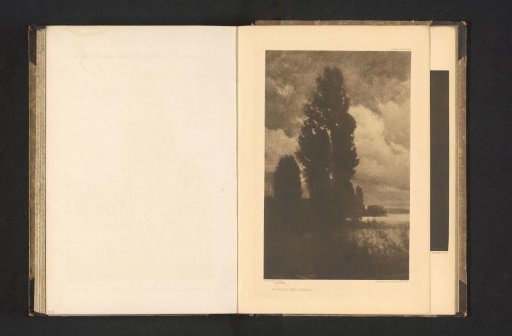 Landscape with a poplar