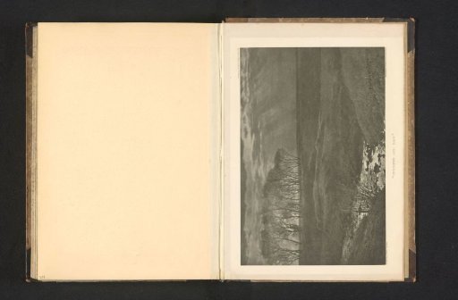 Landscape with trees