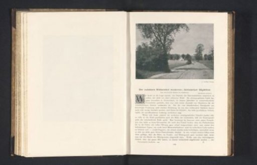 Country road with trees, with a house in the background