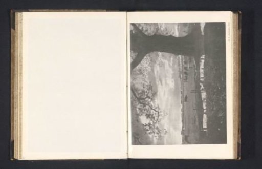 View of a meadow with cows