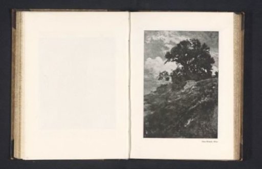 Landscape with a tree