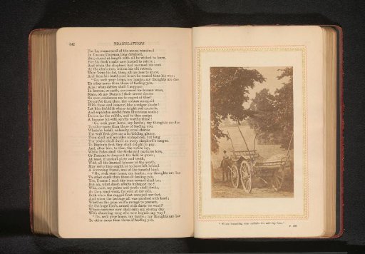 Man with horses and wagon on a country road