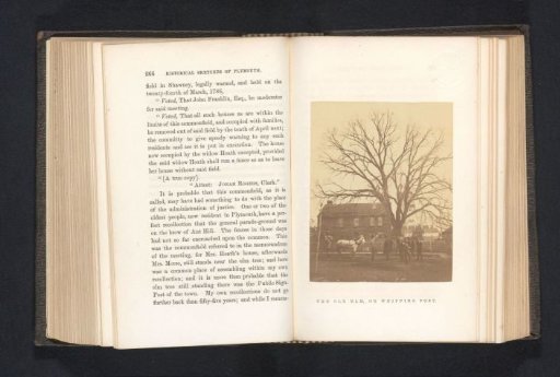 View of a group of men at an elm
