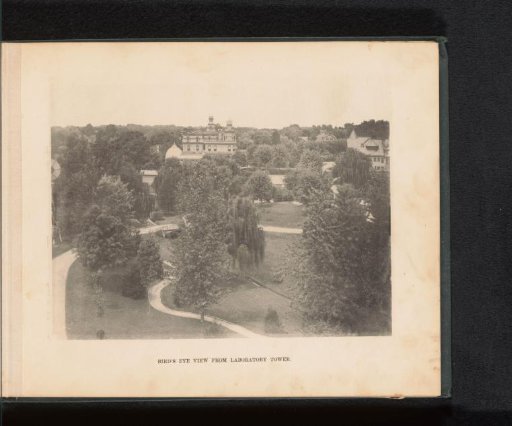 View of a park in Woodbury, seen from the laboratory of George Gill Green for Green's August Flower and Dr. Boschee's German Syrup
