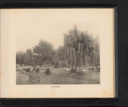 View of weeping willows on the estate of George Gill Green in Woodbury