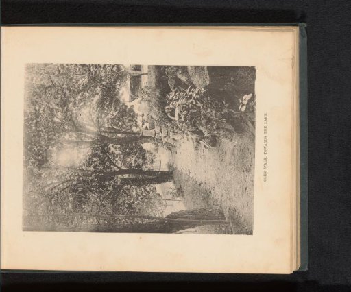 View of a path to a lake on the estate of George Gill Green in Woodbury