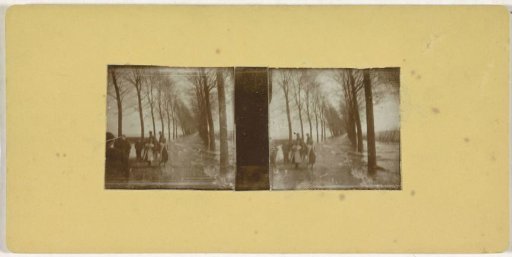 People walking on a path between trees