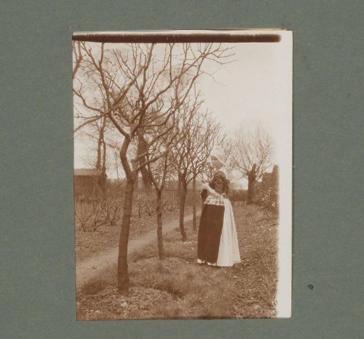 Woman in traditional dress with knitting, standing among bare trees