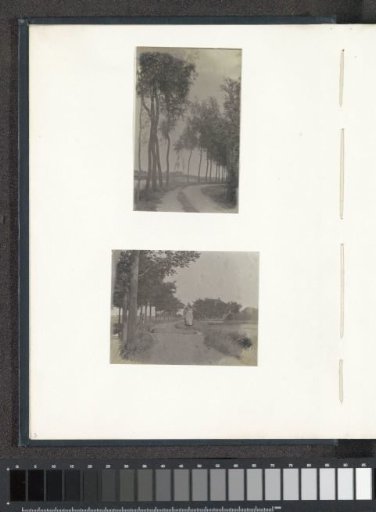 Avenue with a bend, probably in the vicinity of Volendam