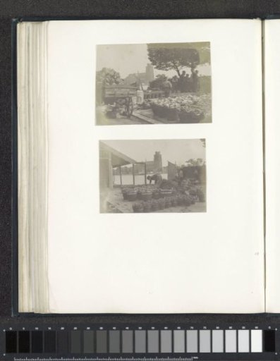 View of the vegetable market in Zwijndrecht with the Great Church in Dordrecht in the background