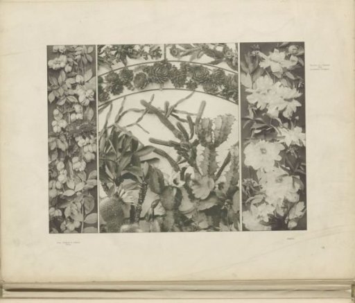 Panels with hazel, peony, spurge, houseleek, and cacti