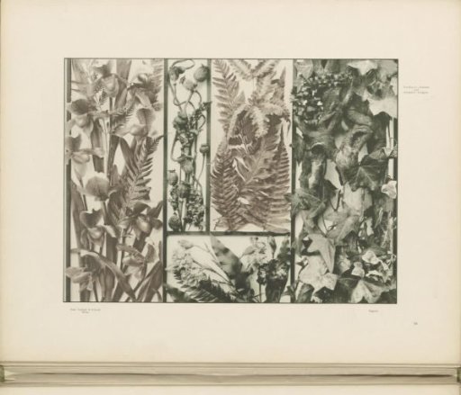Filling patterns of lady's slipper, boxwood, carnations, and ivy