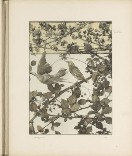 Decorative group of rose hips, blackberries and birds