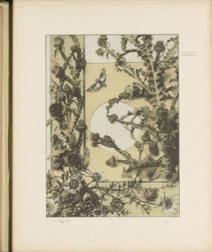 Panels with thistles, artichokes, and butterflies