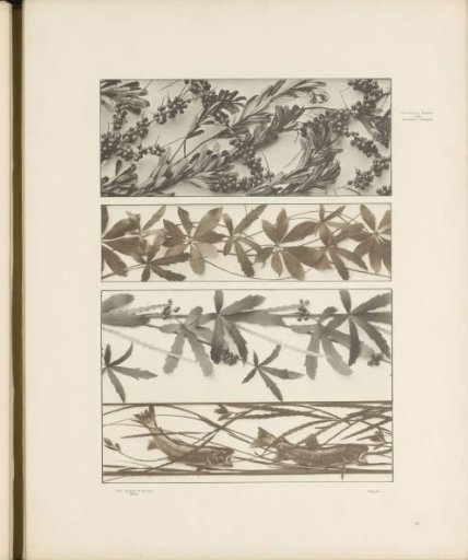 Three friezes with pyracantha berries, trout, and aralia