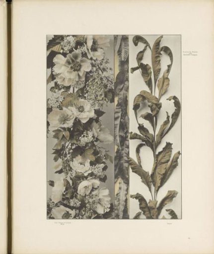 Friezes with chestnut blossoms, peonies, and ferns