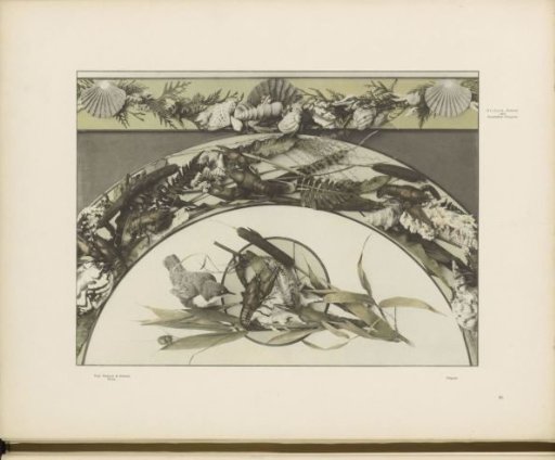 Panels with shells, crayfish, ferns, and a bird