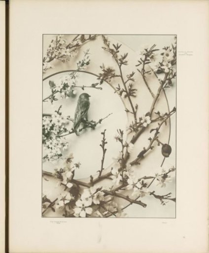 Decorative Group with Cherry Blossoms, Almond Blossom, and a Bird