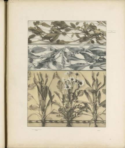 Fillings of plantain and leaves