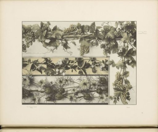 Panels with hops, grapevines, azaleas, and lady's mantle