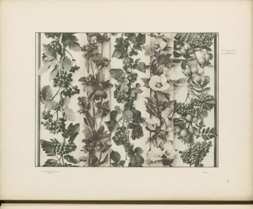 Ornamental borders with peonies, blackberries, rowan berries, and apples
