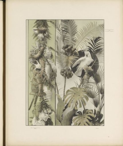 Decorative group with a cockatoo and palms, and a festoon with fish, shellfish, and shells