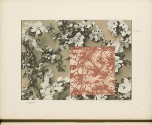 Decorative group with apple blossoms and butterflies, and a panel filling with apple blossoms and apples