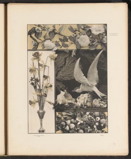 Panels with narcissi, camellias, fruit and a seagull