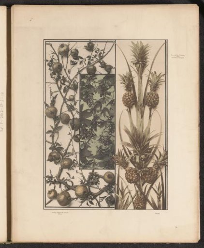 Filling with pomegranates, maple leaves and pineapples