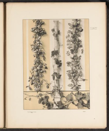 Festoons with grapevines and fruit
