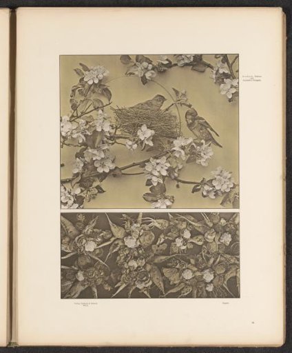 Two panels with apple blossoms, birds, and vegetables