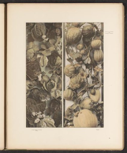 Two panels with cabbages, pumpkins, and melons