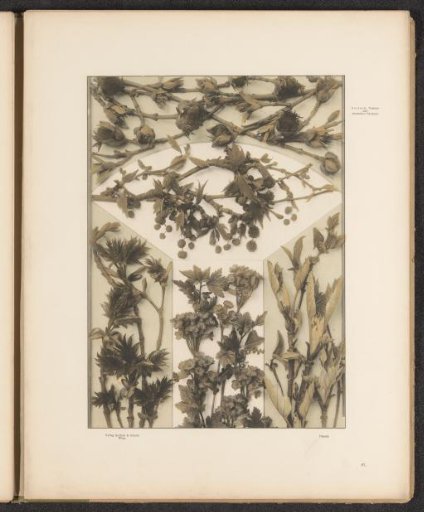 Panels with oak shoots, plane tree shoots, and currant shoots