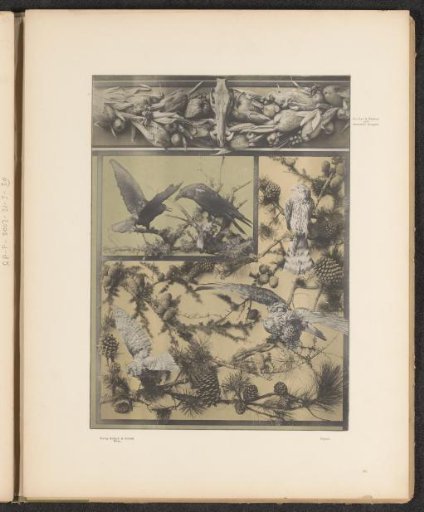 Decorative group with pine branches and birds and a festoon with maize cobs and an animal skull