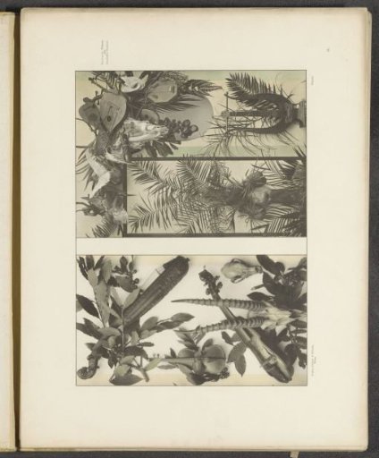 Decorative groups with musical instruments, animal skulls and palm leaves