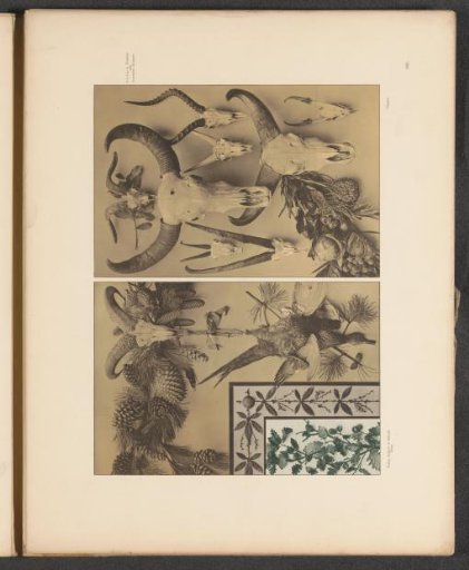 Two panels with pine branches and animal skulls