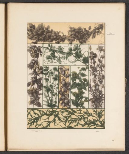 Panels with hazelnuts, rose hips, and medlars