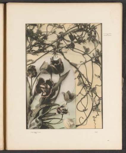 Decorative group with tulips and pipe flowers