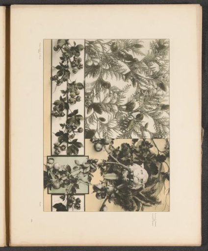 Panels with the tree of life, chestnut branches, and apples with a lion's head