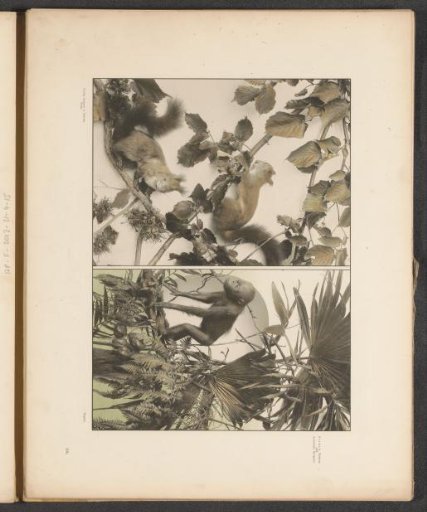 Decorative groups with hazel branches, squirrels, palm leaves, and an orangutan
